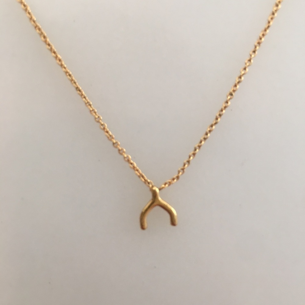 Dogeared wishbone gold necklace